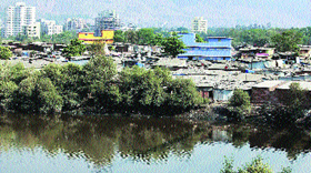 Thane, Vasai creeks on wildlife body list for conservation