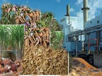 264.90 MW biomass power projects in State