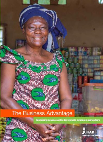 The business advantage: mobilizing private sector-led climate actions in agriculture