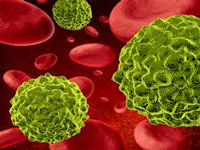 Nipah toll 11 but panic subsides