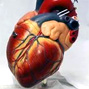 Global atlas on cardiovascular disease prevention and control