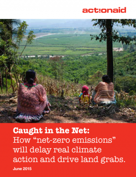 Caught in the net: how “net-zero emissions” will delay real climate action and drive land grabs
