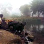 Madhya Pradesh state action plan on climate change: draft