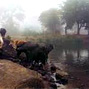 Madhya Pradesh state action plan on climate change: draft