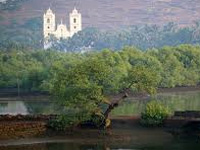 NGT notices to 8 Bogmalo restaurants, guesthouses