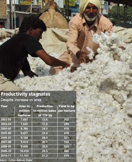 Cotton saga unravels