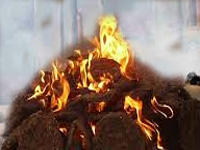 Nagpur: ‘Eco-cremation’ with agri-waste bricks makes waves