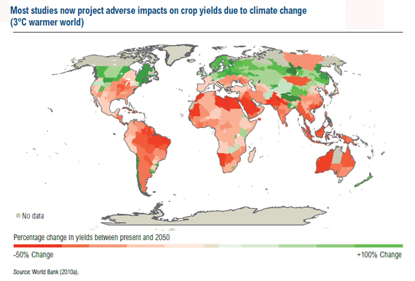 World resources report 2013–2014: creating a sustainable food future