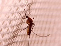 Health department alerts airport authorities over zika virus