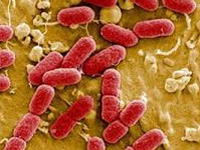 22 fall prey to water-borne disease ‘diarrhea’