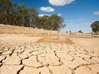 Migration due to drought in Maharashtra