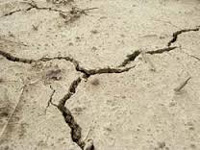 Mild quake felt in Himachal’s Kangra