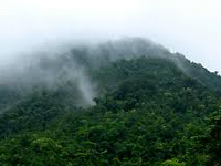 Protect Eastern Ghats for healthy plains: Experts