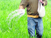 13% Karnataka farmers avail benefits of crop insurance