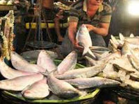 Exporters, eateries warned over selling poisonous fish