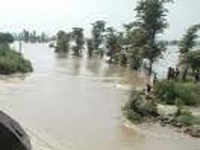 Nepal dams release water, UP rivers play havoc; 48 dead, 1,000 villages marooned