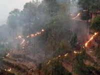 Forest fires continue to rage in U'khand, 1,213 ha gutted since beginning of season in Feb