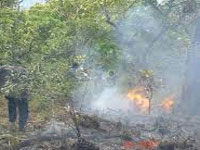 6 forest fires in a day in SGNP & Thane, 22ha torched