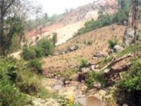 Encroachment on Garbhanga forest posing threat