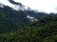 Over 1,54,358 hectares of forest area planted in Manipur