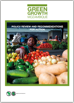 Transition towards green growth in Mozambique: policy review and recommendations for action