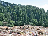 After years of dumping waste, corporation to now clear reserve forest