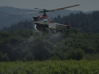 केदारघाटी में हेलीकॉप्टरों की उड़ान से वन्यजीवों पर नहीं पड़ रहा असर  