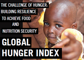 Global hunger index 2013: the challenge of hunger - building resilience to achieve food and nutrition security