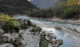 Assessment of cumulative impacts of hydroelectric projects on aquatic and terrestrial biodiversity in Alaknanda and Bhagirathi basins, Uttarakhand