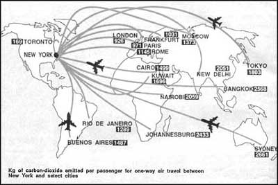 The ecological cost of air travel