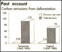 Western expansionism caused more carbon emission