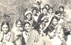 More miles to go for Chipko women