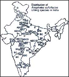 The ACD of malaria control