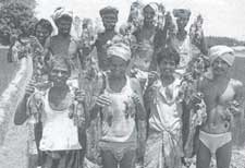 Pied pipers of Irula