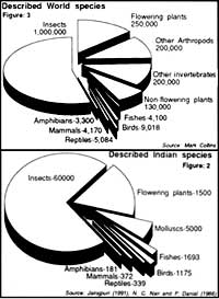 World`s biodiversity needs to be preserved