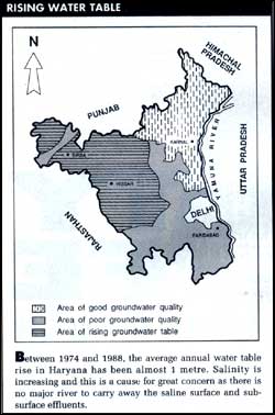 Soil salinity threatens the command areas