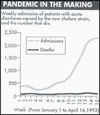 New cholera strain strikes India