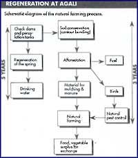 `Ours is a model of natural farming`