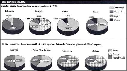 Third World wood finds niche in global market