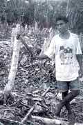 Nature`s revenge