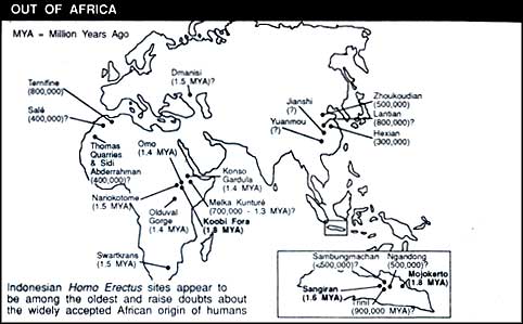 Out of Africa