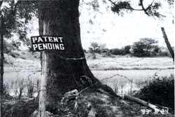 Patent prejudice