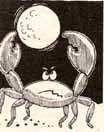 Loony crabs