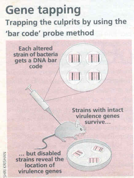 Sleuthing errant genes