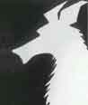 Fox hunting and a ban  