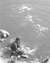 Cleaning the Yamuna