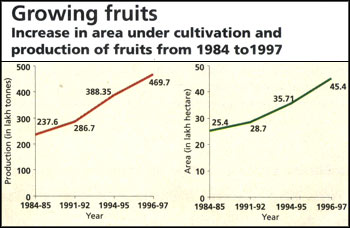 Fabled Fruits!