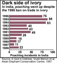 Ivory trade to resume