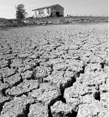 Drought may continue