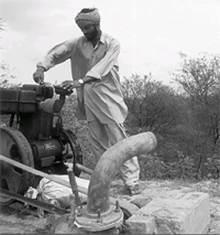 Parched Punjab